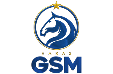 Haras GSM