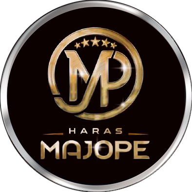 HARAS MAJOPE